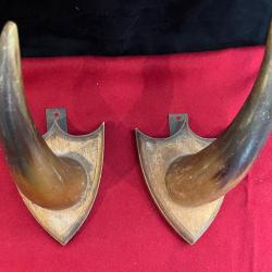 Paire de porte chapeau en corne de vache sur écusson décoration saloon western stetson