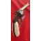 petites annonces chasse pêche : COFFRET COMPLET ÉPOUSTOUFLANT SMITH-WESSON 32.44 SW TARGET LUXE AVEC OUTIL D'ORIGINE ÉTAT NEUF !!!!