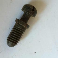 Vend  vis   pour bague avant   SR 1889   / 96/11  / G11 K11 et K31