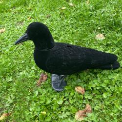 Forme de corbeau velour X10 neuve