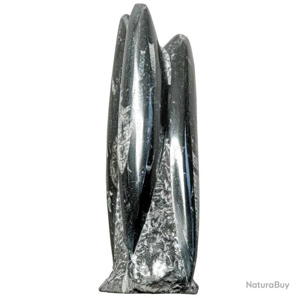 Statue en marbre fossilifre d'orthocras - 18 cm - 836 grammes