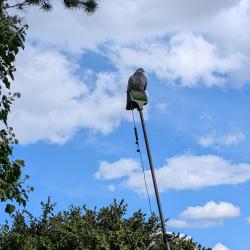 Mât en carbone 18m + kit rouleau électrique