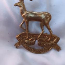 insigne Afrique du sud