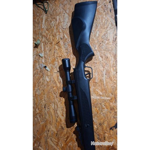 Carabine a plomd stoeger