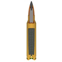 Balles Winchester 22-250 - Varmint-X Extreme Point 55 gr