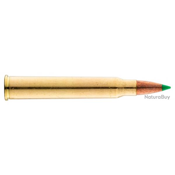 Balles Sologne 30 R Blaser - Nosler Balistic Tip 180 gr