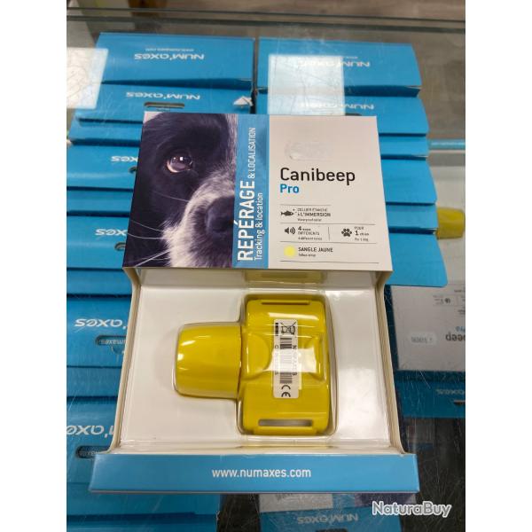 Collier de reprage Num'axes Canineep Pro