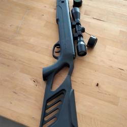 Carabine à plomb Swiss Arms moins de 20 joules.
