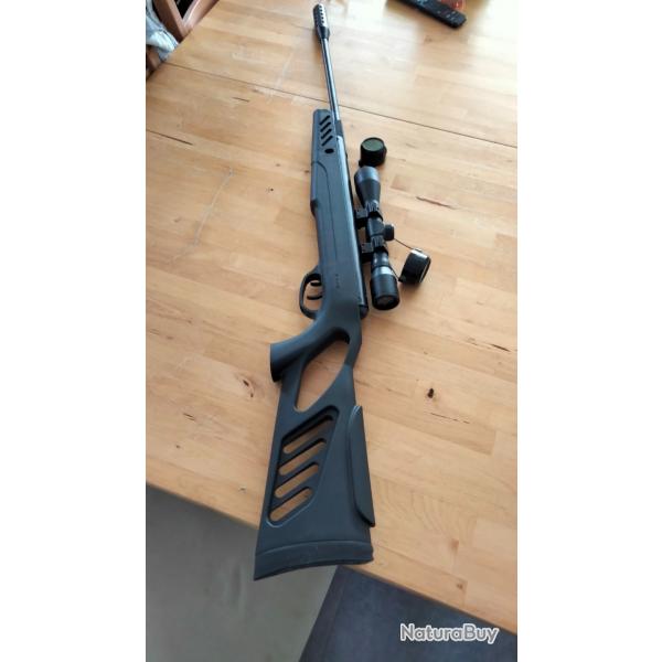 Carabine  plomb Swiss Arms moins de 20 joules.