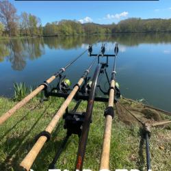 Canne Fox horizon x3 full cork