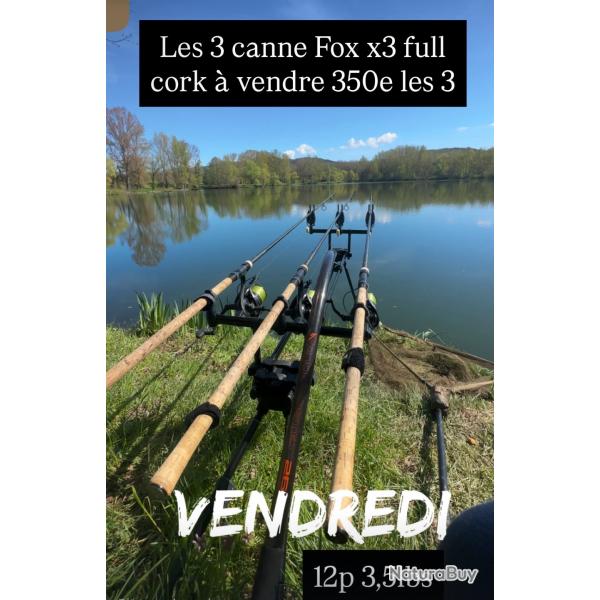 Canne Fox horizon x3 full cork
