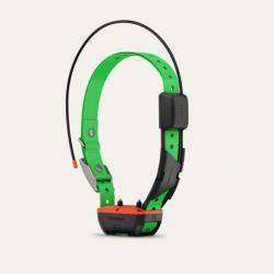 COLLIER DE SUIVI ET DE DRESSAGE GARMIN TT25F