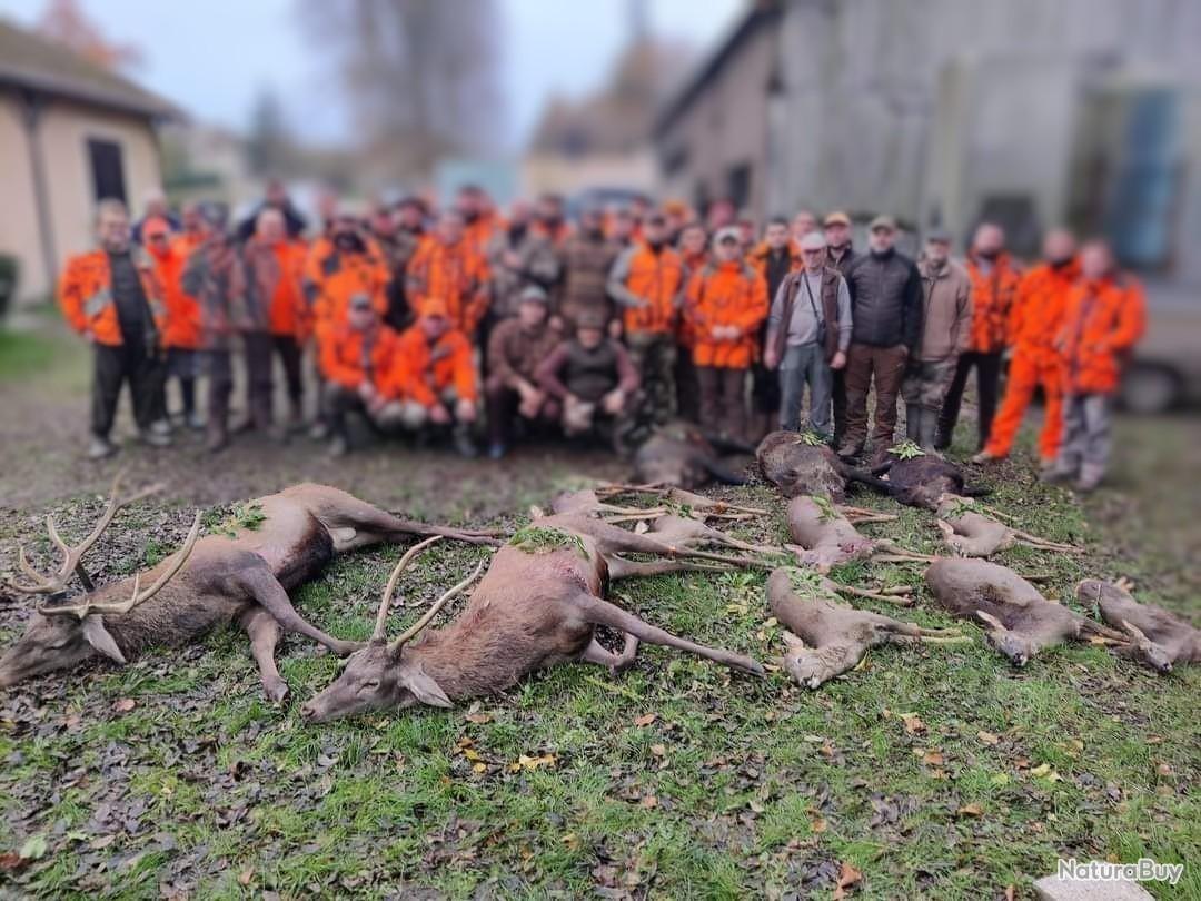 Matériel de chasse : 7 articles que tout chasseur devrait avoir