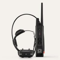 GARMIN PRO 550 PLUS AVEC COLLIER DE SUIVI ET DE DRESSAGE TT 15F MINI