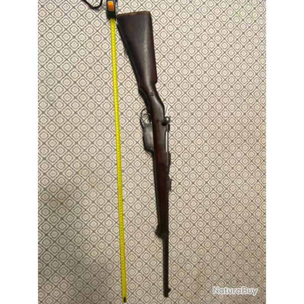 Steyr m95 modifier chasse