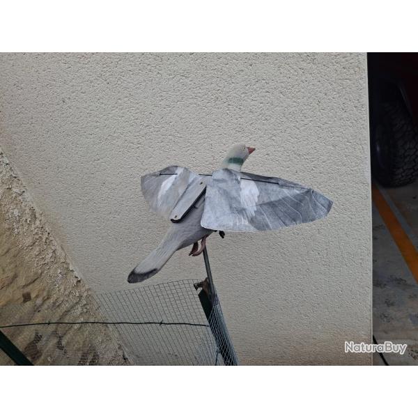 Appelant pigeon super-flap
