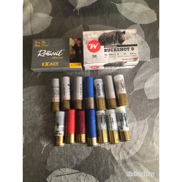 balle  cal 12,magnum   Sauvestre ,winchester, fier, rottweil +    boite 10 chevrotin9g  cadeau, sac