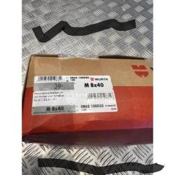 Carton de 100 boulons rail prémonté standardfix varifix écrou rondelle zingué wurth 0862100030
