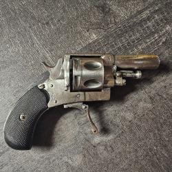 Jolie 320 bulldog