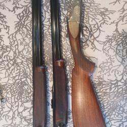 express combo rizzini cal 9.3x74r