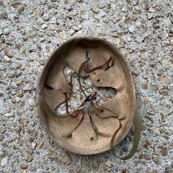 Coiffe tardive pour casque M34 / M38 Gladiator - WW2.
