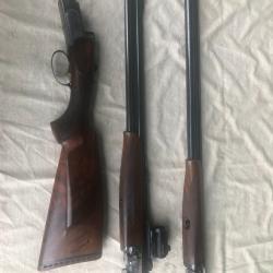 combo express walberg 9.3x74R