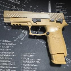 SIG SAUER M17 P320 FDE BLOWBACK CO2 - Cal. 4.5 - 2.8 JOULES 300 COUPS + CO2