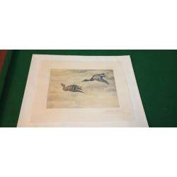 Gravure de Léon Danchin signée et justifiée