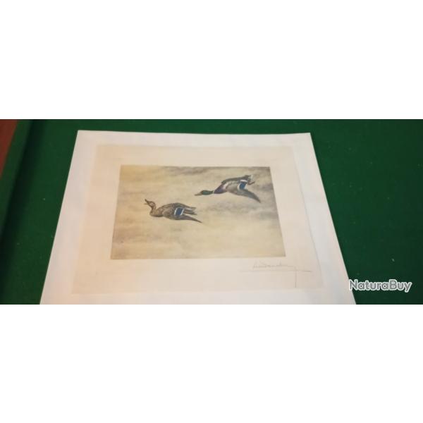 Gravure de Lon Danchin signe et justifie
