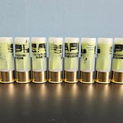 10 Balles SAPL Gomm-Cogne High Precision Green - Cal. 12/70