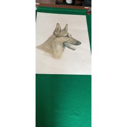 Lithographie signée Léon Danchin