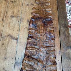 Peau de python entière