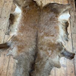 Peau de vert 12 cors