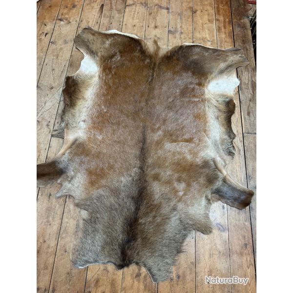 Peau de vert 12 cors