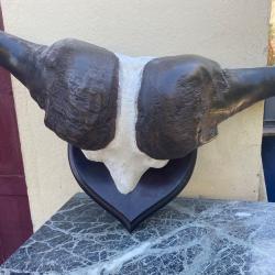 Massacre de Buffle Caffer