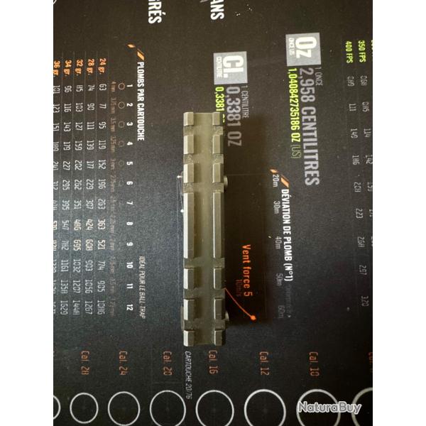 Montage rail fixe Blaser