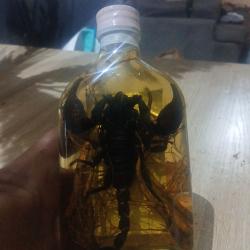 Bouteille alcool de riz avec scorpion