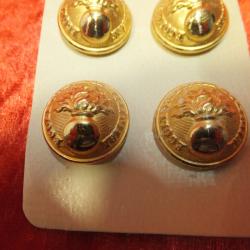 Lot de bouton militaire,  d'uniforme. Idéal reconstitution ou costumier.                         (1)