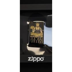 Zippo 251714 Briquet à essence - Coupe vent - Modèle Moutain Domina