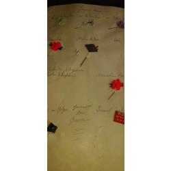 COLLECTION INSIGNES JOURNEE 14 18