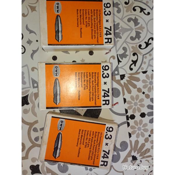 balles 9.3x74r  rws
