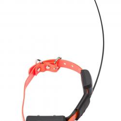 CANICOM GPS MINI collier avec stimulation - NUM'AXES