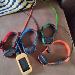 Collier gps garmin