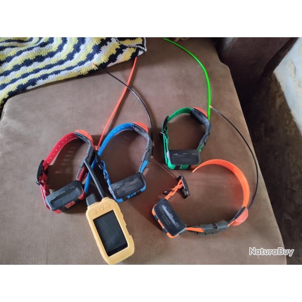 Collier gps garmin