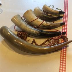 Lot 5 cornes de chasses