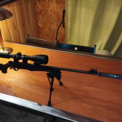 Rossi 17 HMR