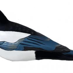 Lot de 4 pies ultra HD Final Approach