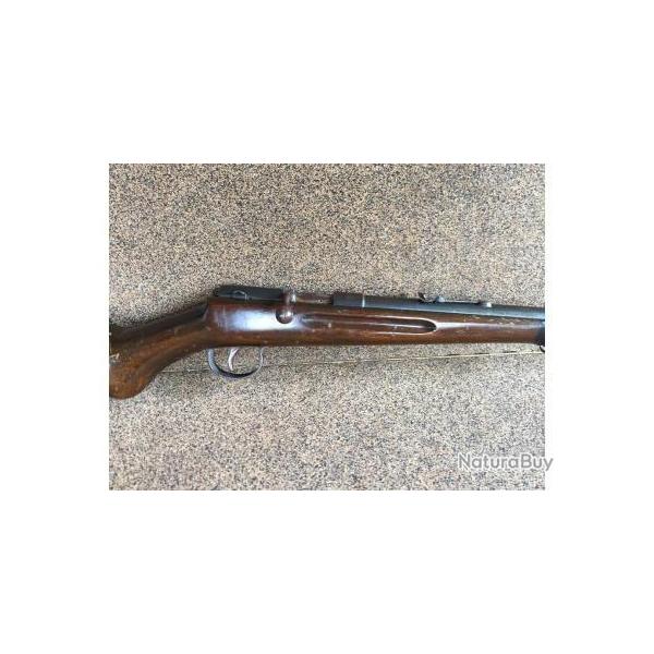 Carabine 22lr