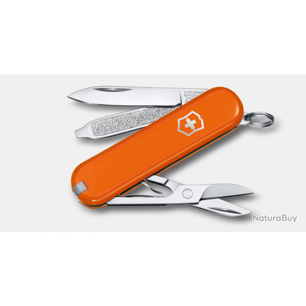 Victorinox 0.6223.83B Swiss Classic SD - Mango Tango Orange