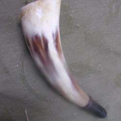 corne d'appel en corne 17,5 cm